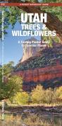 Utah Trees & Wildflowers - Preview