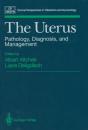 Uterus - Preview