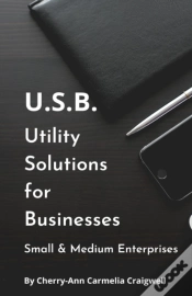 Capa do artigo Utility Solutions For Businesses - Usb For Small And Medium Enterprises