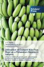 Utilization Of Cement Kiln Flue Dust As A Potassium Source In Banana - Preview