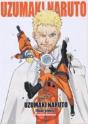 Uzumaki Naruto: Illustrations - Preview