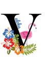 V Aloha - Preview