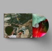 Capa do artigo V - CD