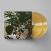 Capa do artigo V - Vinil