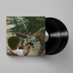 Capa do artigo V - Vinil