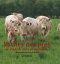 Vaches Des Pres En Pays De Loire Et Bretagne - Preview