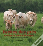 Vaches Des Pres En Pays De Loire Et Bretagne