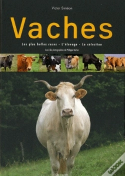 Capa do artigo Vaches