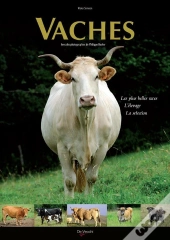 Vaches