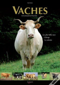 Capa do artigo Vaches