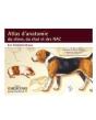 Vademecum : Atlas D'Anatomie Du Chien, Du Chat Et Des Nac ; Les Fondamentaux - Preview