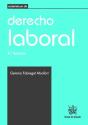 Vademécum De Derecho Laboral - Preview