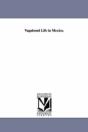 Vagabond Life In Mexico. - Preview