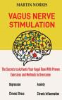 Vagus Nerve Stimulation - Preview