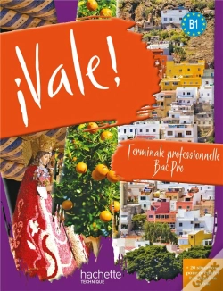 Capa do artigo Vale; Terminale Pro ; Cd Audio Et Cd Vidéo