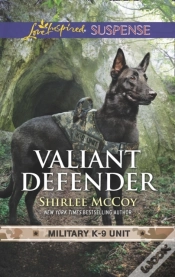Capa do artigo Valiant Defender
