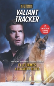 Capa do artigo Valiant Tracker