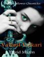 Valiant Valkari - Preview