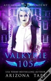 Capa do artigo Valkyrie 105