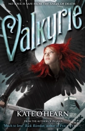 Capa do artigo Valkyrie