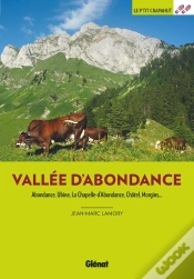 Capa do artigo Vallée D