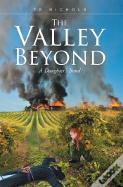 Capa do artigo Valley Beyond