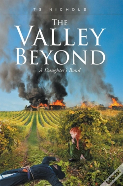 Capa do artigo Valley Beyond