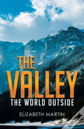 Capa do artigo Valley