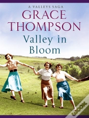 Capa do artigo Valley In Bloom