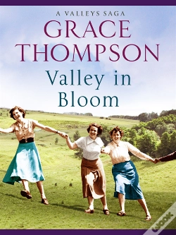Capa do artigo Valley In Bloom