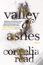 Valley Of Ashes
