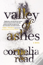 Capa do artigo Valley Of Ashes