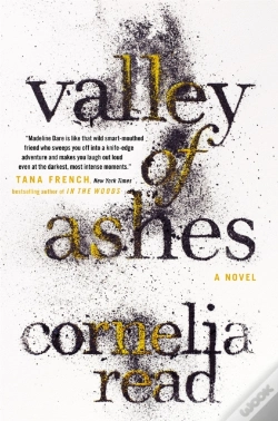 Capa do artigo Valley Of Ashes