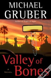 Capa do artigo Valley Of Bones