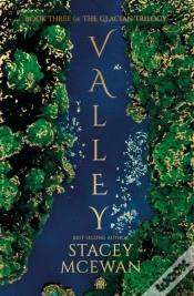 Capa do artigo Valley