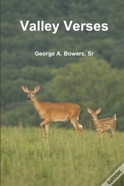 Capa do artigo Valley Verses