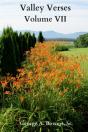 Valley Verses Volume Vii - Preview