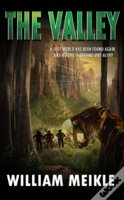 Capa do artigo Valley