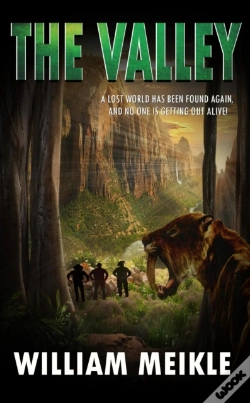 Capa do artigo Valley