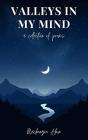 Valleys In My Mind - Preview