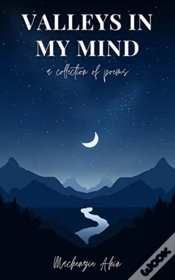 Capa do artigo Valleys In My Mind