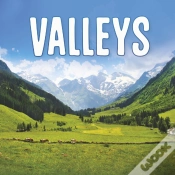 Capa do artigo Valleys
