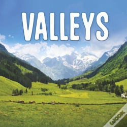 Capa do artigo Valleys