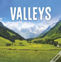 Capa do artigo Valleys