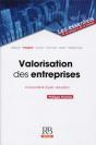 Valorisation Des Entreprises ; Corporate And Equity Valuation - Preview