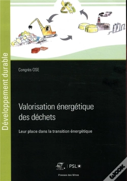 Capa do artigo Valorisation Energetique Des Dechets