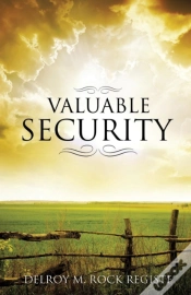 Capa do artigo Valuable Security