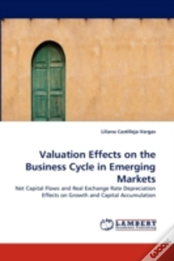 Capa do artigo Valuation Effects On The Business Cycle In Emerging Markets