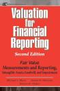 Valuation For Financial Reporting - Preview