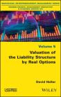 Valuation Of The Liability Structure By Real Options - Preview